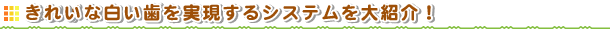 ���ꂢ�Ȕ���������������V�X�e�����Љ�I