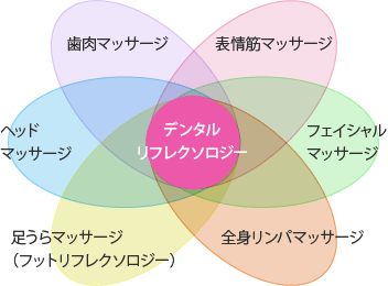 デンタルリフレクソロジー概略図