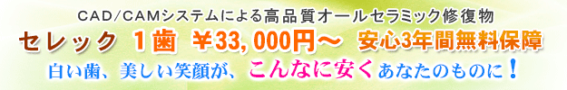 セレックによるオールセラミックス修復物 １歯 33,000円から